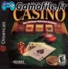 Hoyle Casino