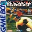 Elite Soccer