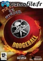 Pirates vs Ninja Dodgeball
