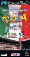 Super Formation Soccer 95: della Serie A
