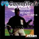 Frank Thomas Big Hurt Baseball