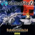 Super Schwarzschild