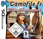 My Western Horse