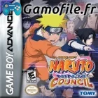 Naruto: Ninja Council