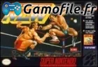 Natsume Championship Wrestling