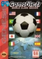 Champions World Class Soccer