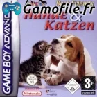 Best Friends: Dogs & Cats
