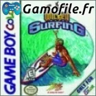 Wicked Surfing