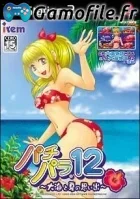 PachiPara 12: Ooumi to Natsu no Omoide