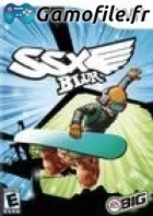 SSX Blur