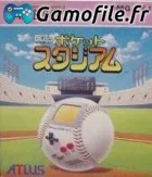 Pocket Stadium
