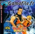 Art of Fighting (CD)