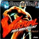 Virtual Pro Wrestling