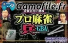 Pro Mahjong Tsuwamono Advance