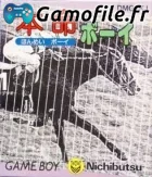 Honmei Boy