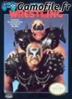 WCW World Wrestling Championship