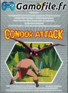 Condor Attack
