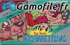 Tag Team Wrestling