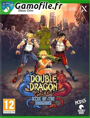 Double Dragon Gaiden : Rise of the Dragons